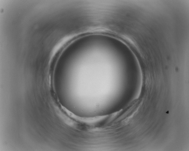 X0000065241414200602242013