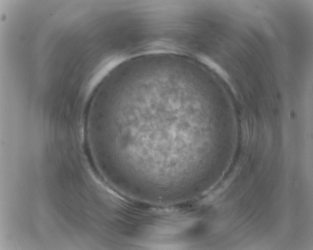 X0000065241415200602242013