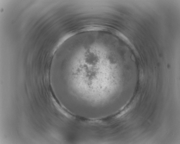 X0000065241417200602242013