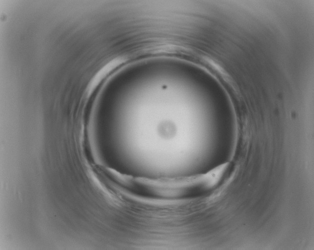 X0000065241418200602242013