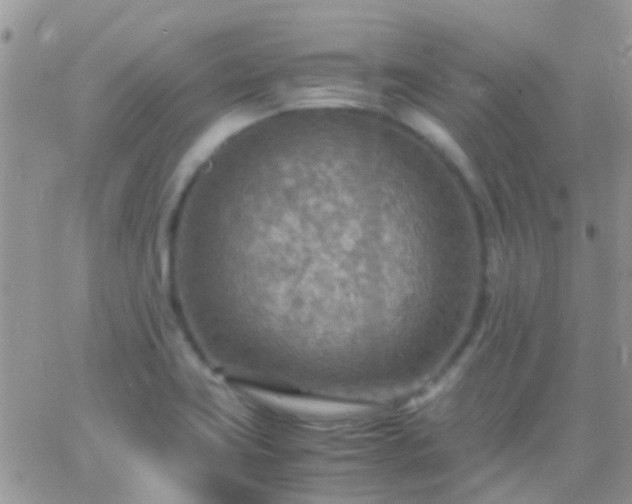 X0000065241419200602242013