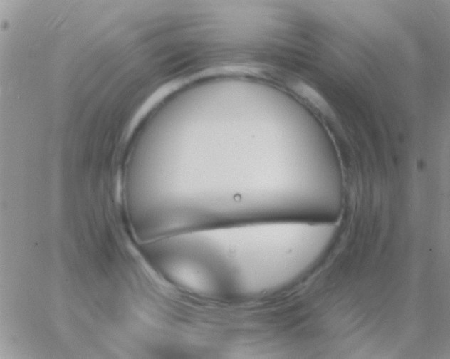 X0000065241420200602242013