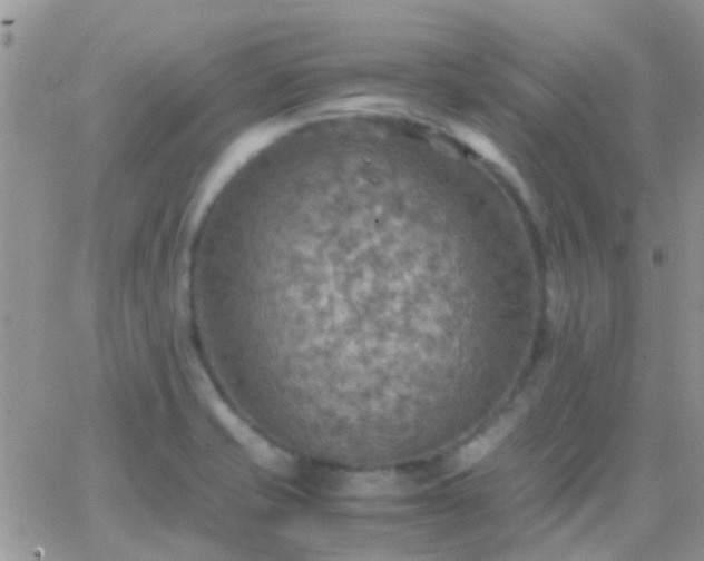 X0000065241421200602242013