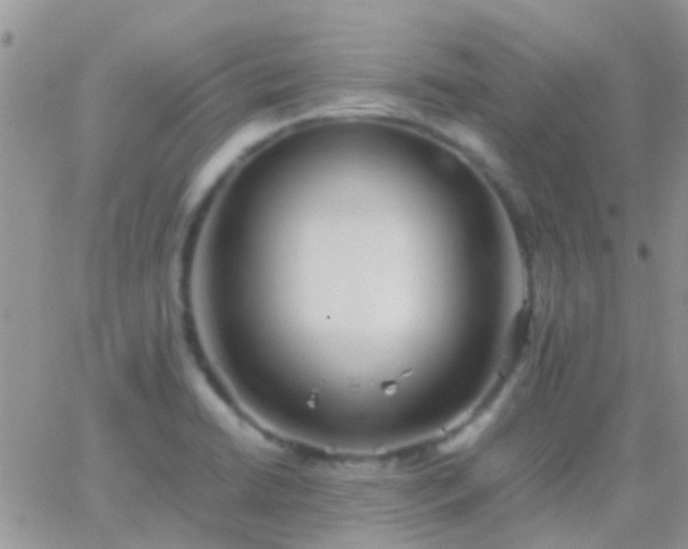 X0000065241422200602242013