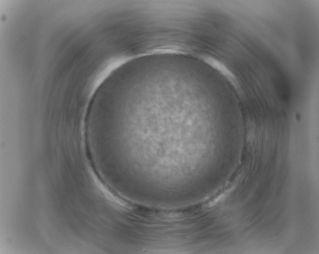 X0000065241423200602242013