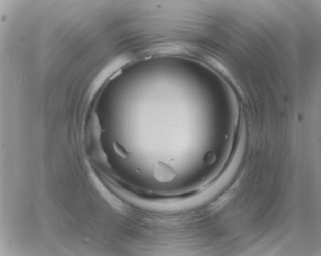 X0000065241426200602242013