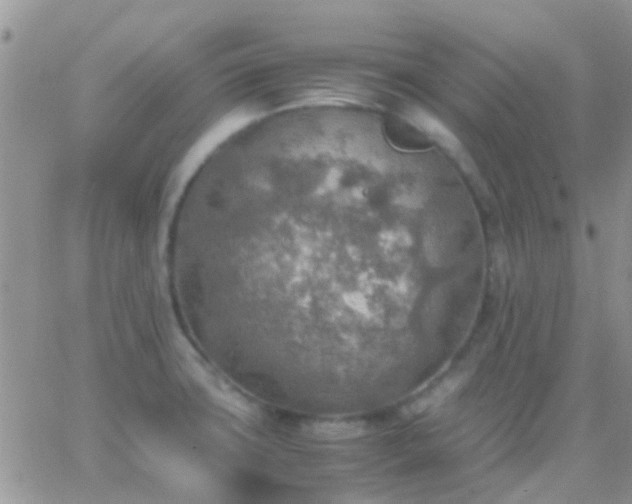 X0000065241427200602242013