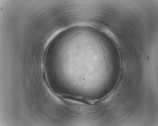 X0000065241428200602242013