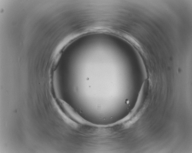 X0000065241430200602242013