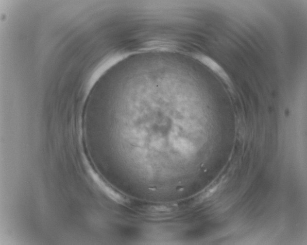 X0000065241431200602242013