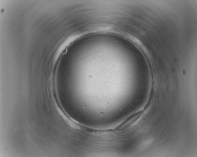 X0000065241432200602242013