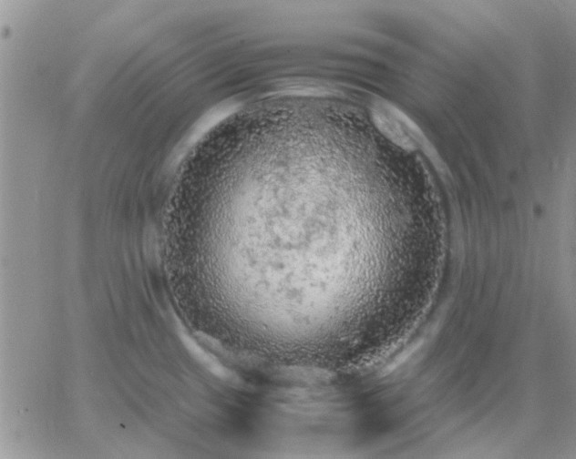 X0000065241433200602242013