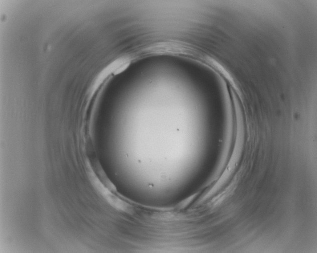 X0000065241434200602242013