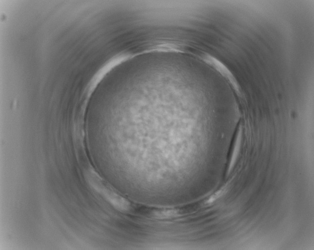 X0000065241435200602242013