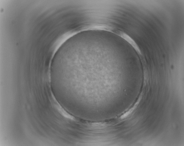 X0000065241436200602242013