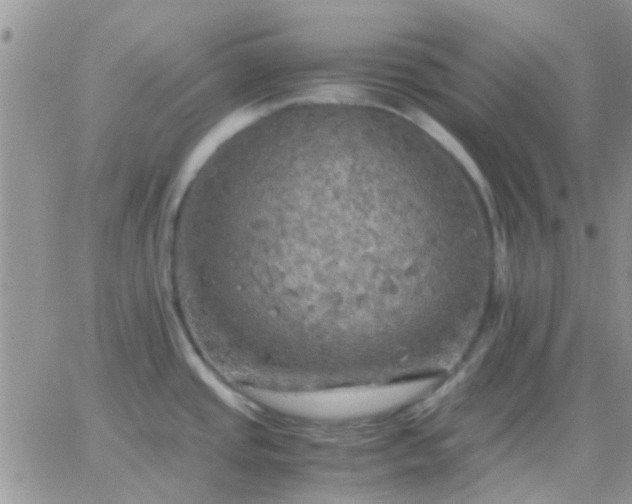 X0000065241437200602242013