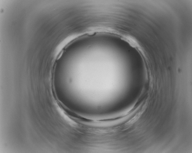 X0000065241438200602242013