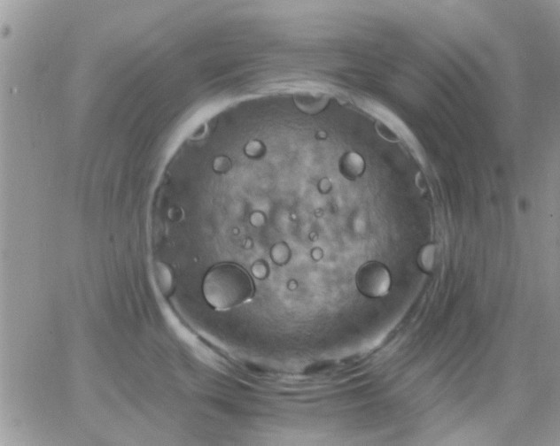 X0000065241439200602242013