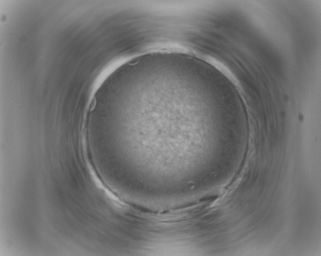 X0000065241440200602242013