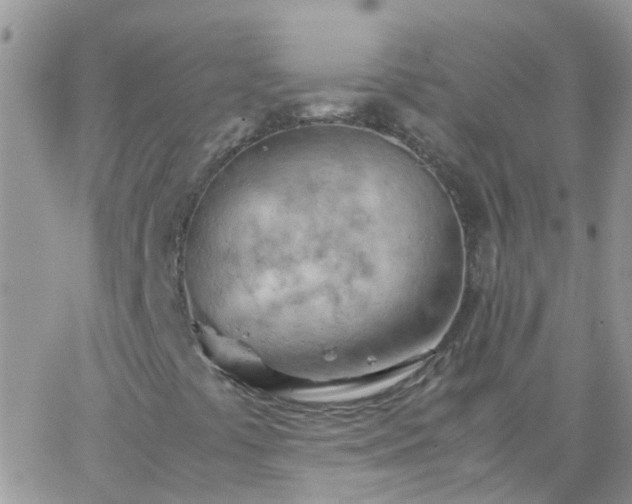 X0000065241441200602242013