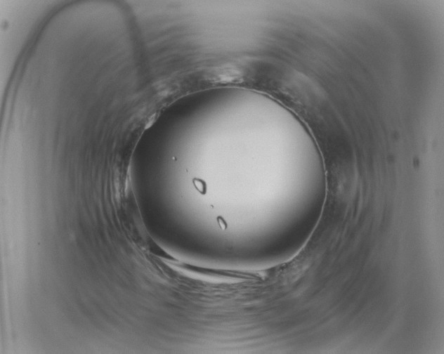 X0000065241442200602242013