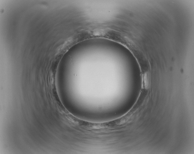 X0000065241443200602242013