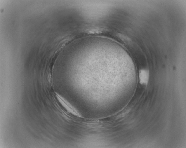 X0000065241444200602242013