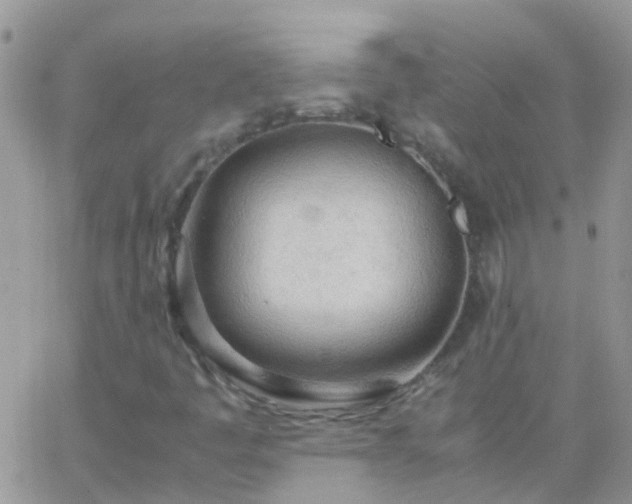 X0000065241445200602242013