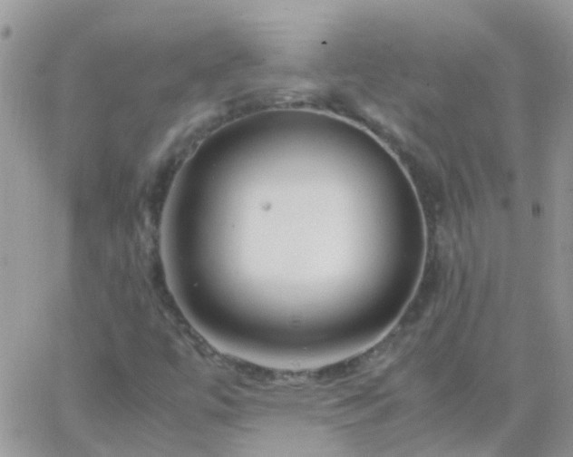 X0000065241447200602242013