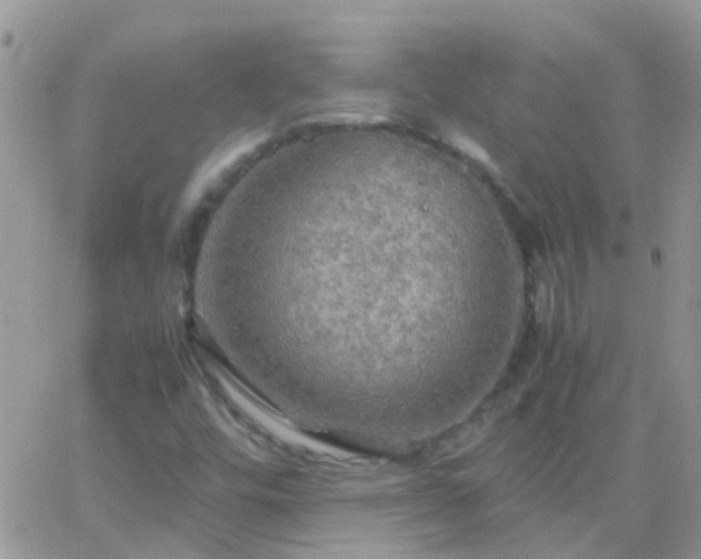 X0000065241448200602242013