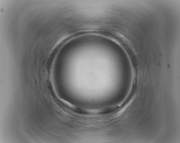 X0000065241449200602242013