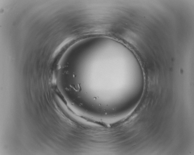 X0000065241450200602242012