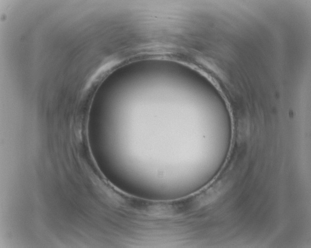 X0000065241451200602242012