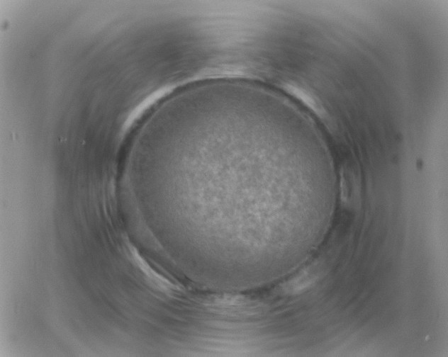 X0000065241452200602242012