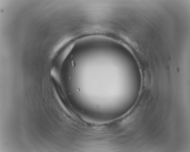 X0000065241453200602242012