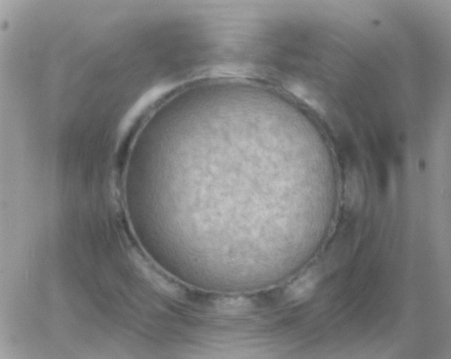 X0000065241454200602242012