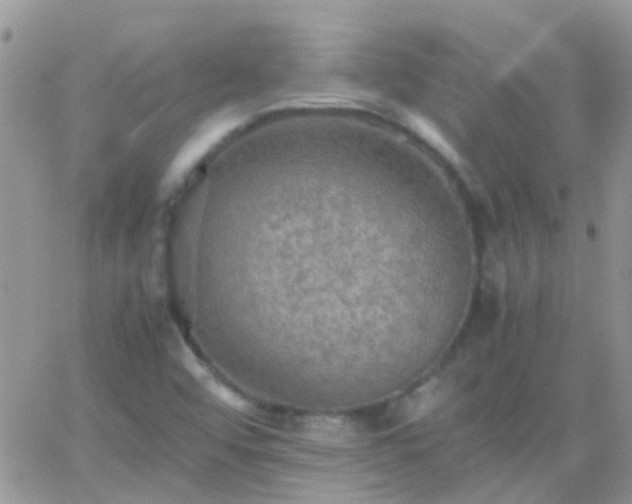 X0000065241456200602242012