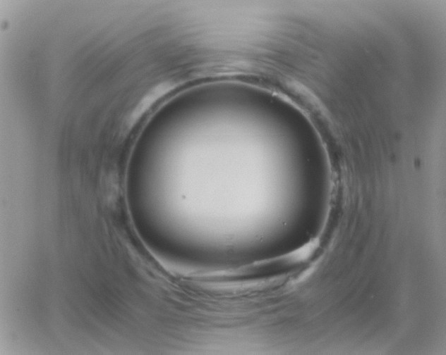 X0000065241457200602242012