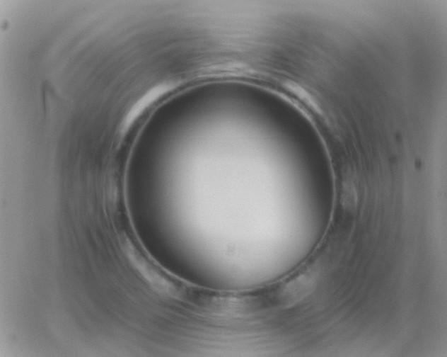 X0000065241458200602242012