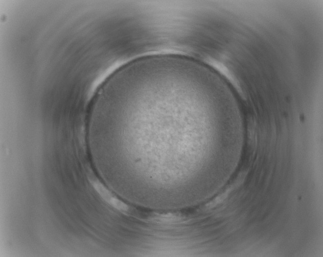 X0000065241460200602242012