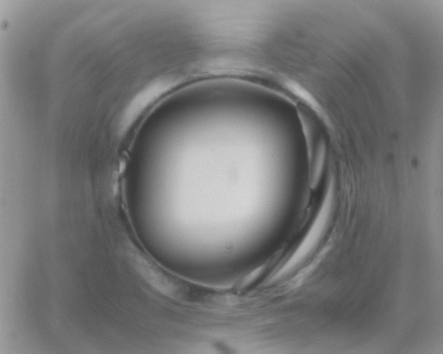 X0000065241461200602242012