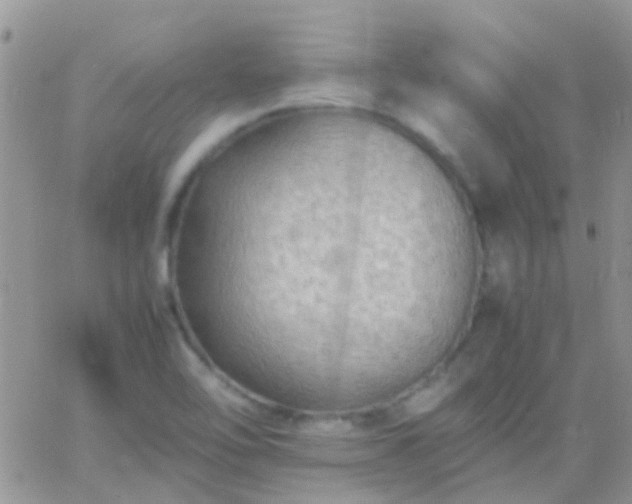 X0000065241462200602242012