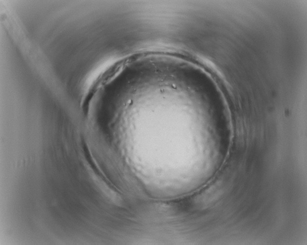 X0000065241463200602242012