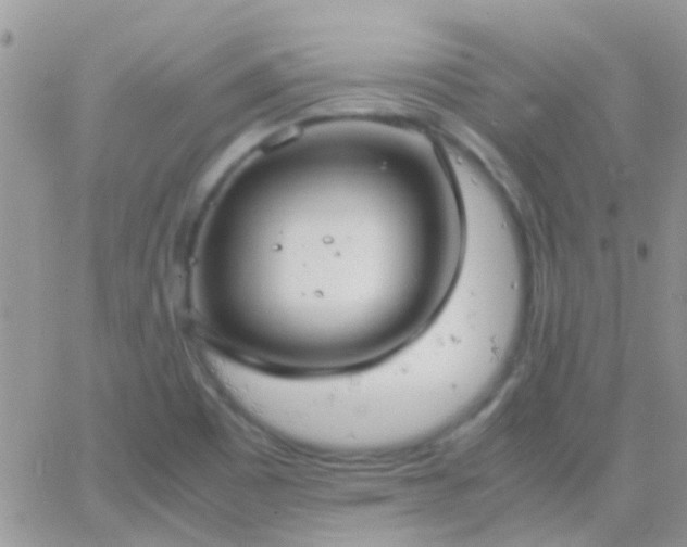 X0000065241465200602242012