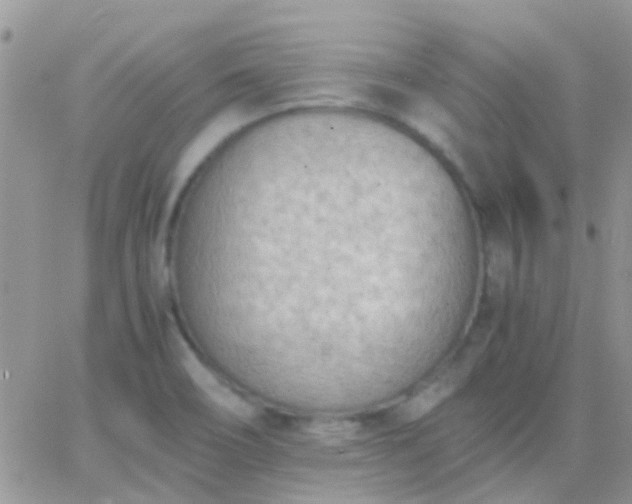 X0000065241466200602242012