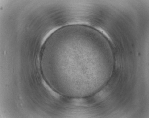 X0000065241468200602242012