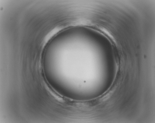 X0000065241469200602242012