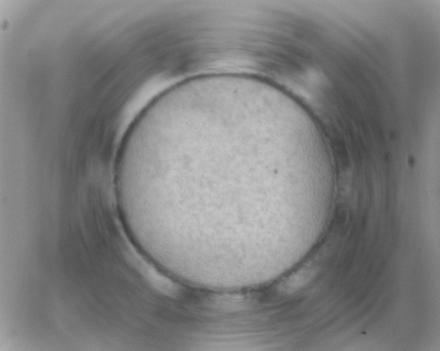 X0000065241470200602242012