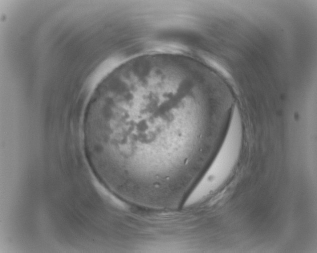 X0000065241471200602242012