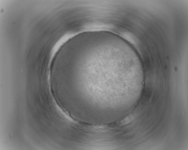 X0000065241472200602242012